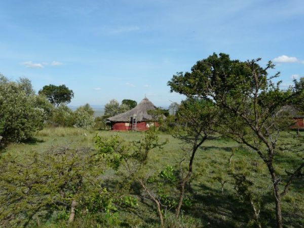 biotope - Mara Siria Camp.jpg