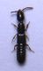 DSCN1488 - Copia.JPG