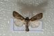 2012Nov05_0017.jpg
