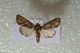 2012Nov05_0010.jpg