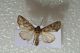 2012Nov05_0016.jpg