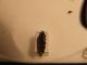 DSCF6403.JPG