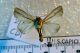 2012Nov17_0054.jpg