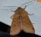 DSC_0845.JPG