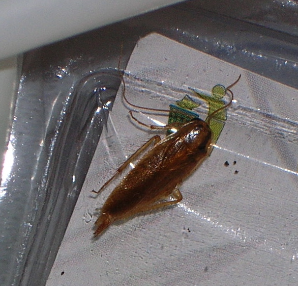DSCN6548.JPG