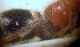 P1010048.JPG