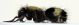mutill,gg,2b_1023x329.jpg