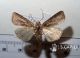2012Nov27_0135.jpg