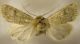 DSCN3294.jpg