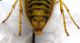 DSCN2532 - Copia.JPG