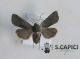 2012Dec02_0219.jpg