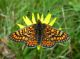 Subasio 29 05 12 (52)_filtered.jpg