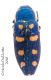Buprestis-octoguttata.jpg