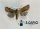 2012Dec02_0255.jpg