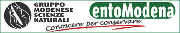 Gruppo Modenese Scienze Naturali