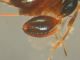 DSCN2819.JPG