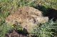 SantaSevera_18-XII-2012_CN016.JPG