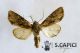 2012Dec18_0292.jpg