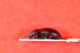 _DSC30400001.JPG