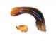 Brachinus nigricornis edeago lat.sx.jpg
