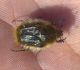 270420122349-ingrandimento.jpg