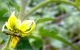 060620122716-modificata_small.jpg