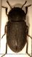20130106_143059_R=8_S=4.jpg