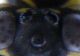 SAM_4363.JPG