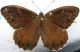DSCN9767.JPG