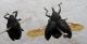 DSCN9773.JPG