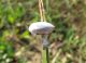 _f_47261--54.jpg