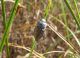 _f_47501--78.jpg