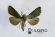 2012Dec18_0288.jpg