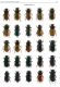 Aphodius 6.jpg