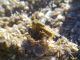 040220133395 small.jpg