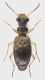 Via_di_Settebagni_16-II-2013_4,6mm§_grey.jpg