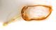 Comb0660_02jcr.jpg