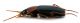 Comb0663_29jcr.jpg