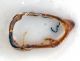Comb0669_04jcr.jpg