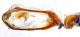Comb0674_03jcr.jpg