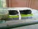 20130228_002-small.jpg