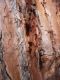 Im_11_sono TanteP1100684_ridimensionata.jpg