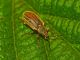 20100520benedicta.jpg