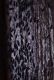 IMGP6648_crop_sm.JPG