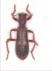34Fonni2_01Genn07_Fascia_9.jpg