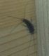 20130319_144348-1.jpg