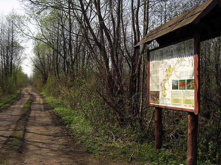 02.Biebrzanski PN_Honczarowska Grobla.JPG