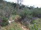 Tolfa_23-III-2013_L12006.JPG