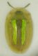 DSCN3758.JPG