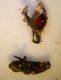 ColeopteraUnidentified1.jpg